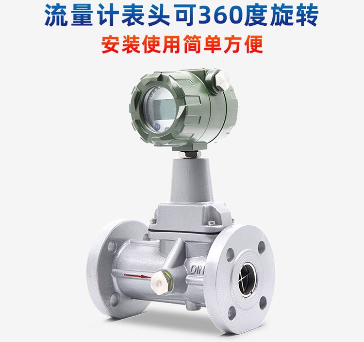氣體旋進旋渦流量計產(chǎn)品圖